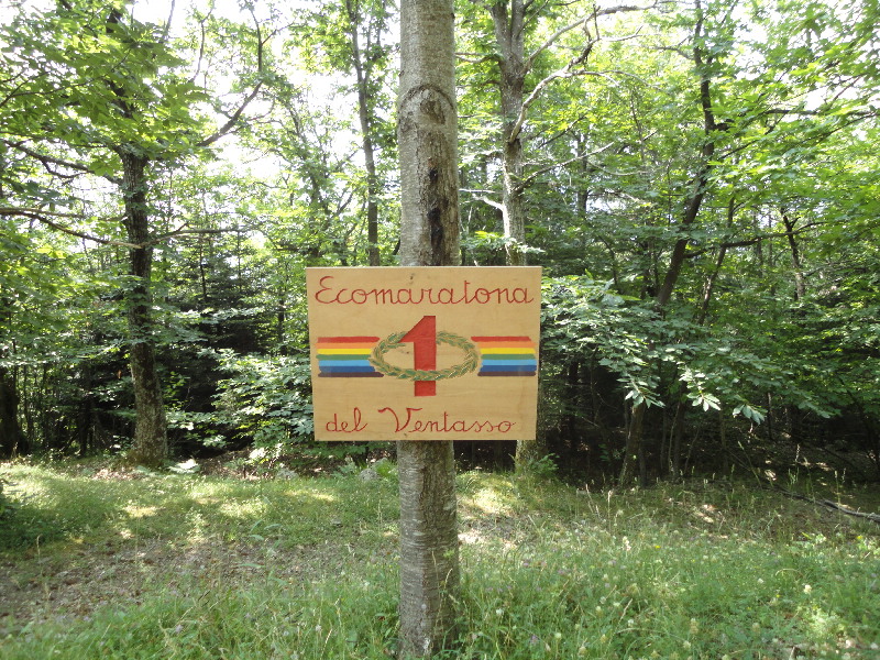 image12