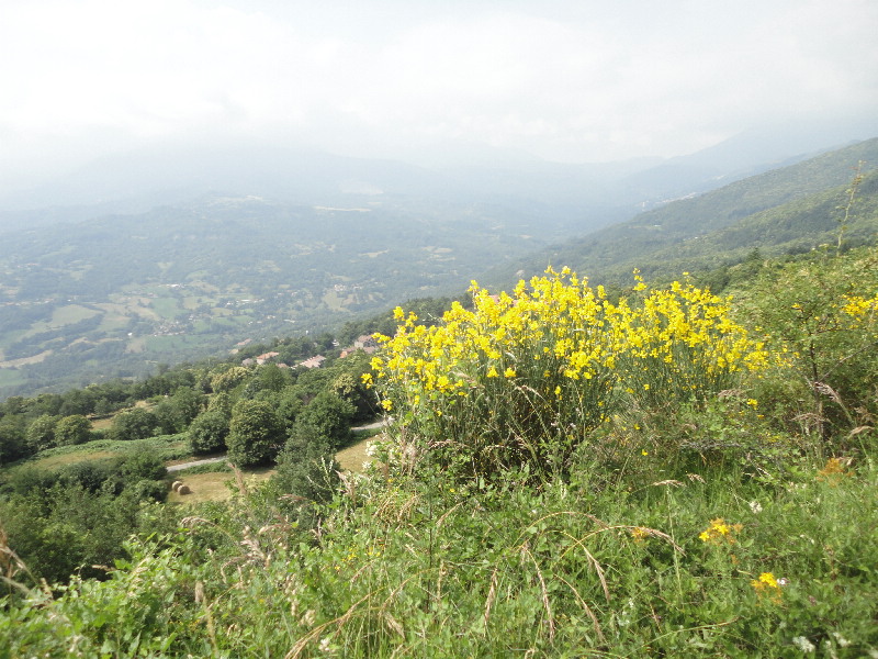 image13
