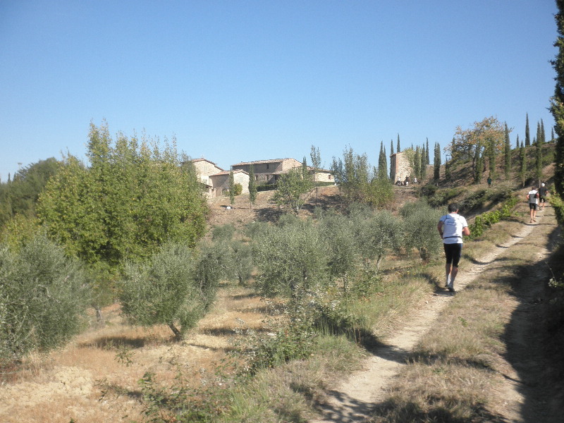 image31