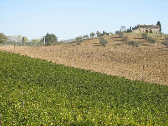 image37