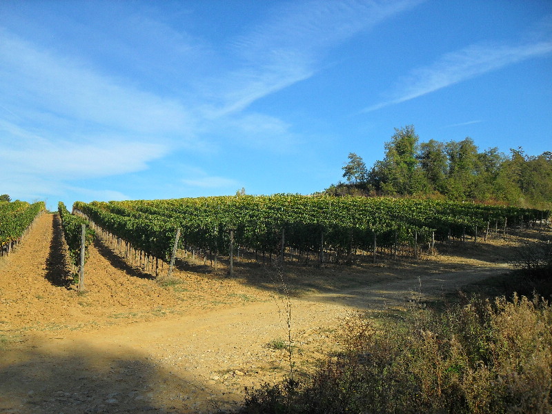 image68