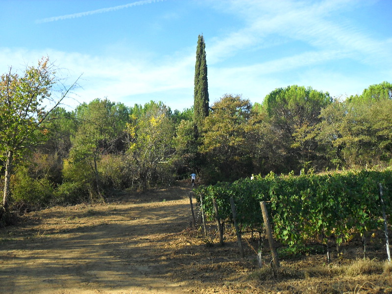 image69