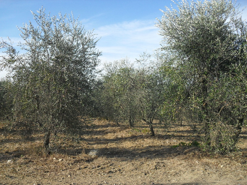 image71