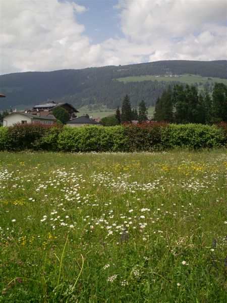 image21