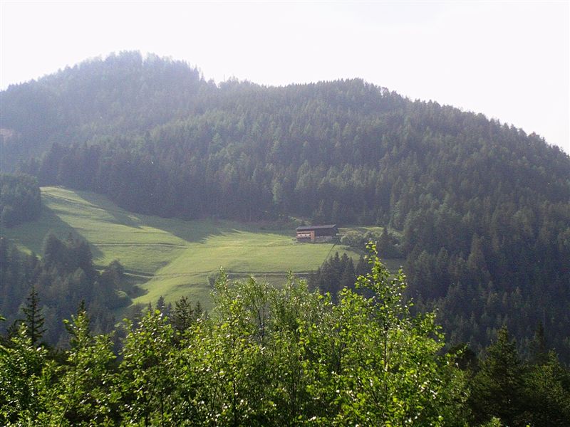 image25