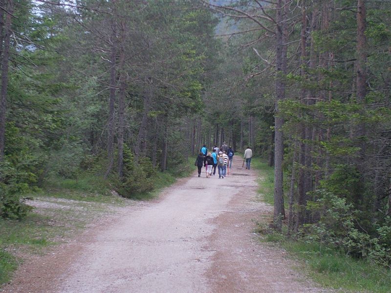 image30