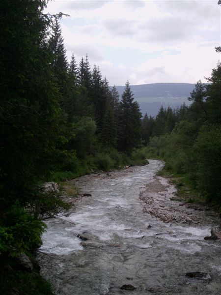 image31