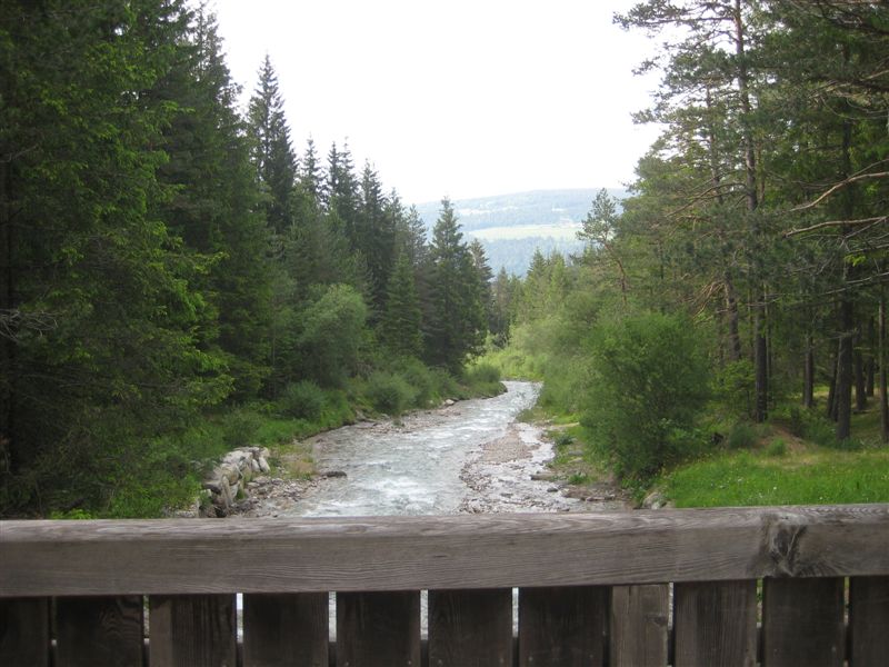 image34