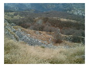 thumbnail23