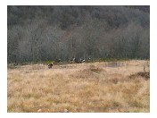 thumbnail26