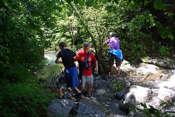 image11