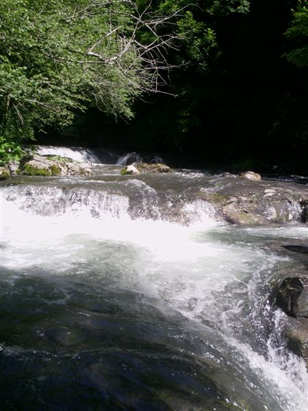 image2