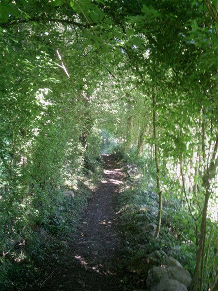 image6