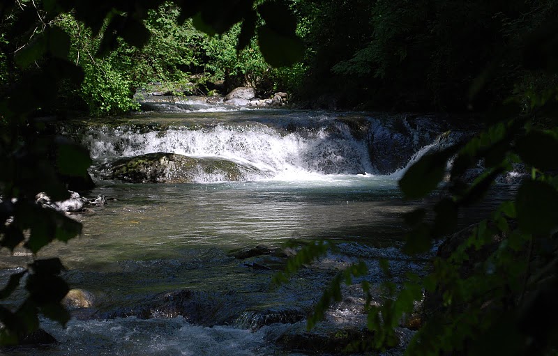 image7