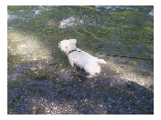 thumbnail12