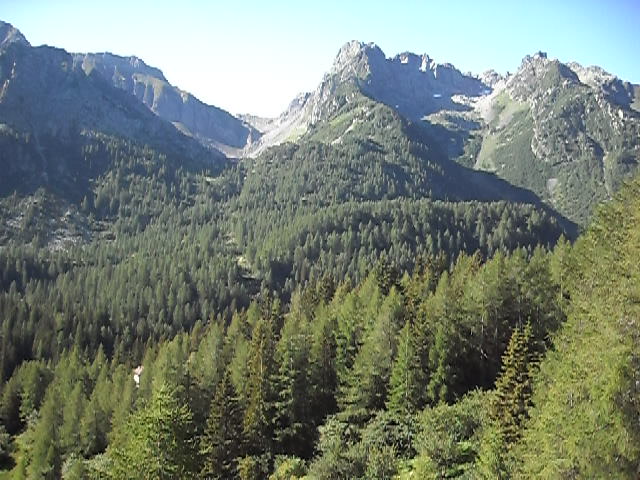 image14