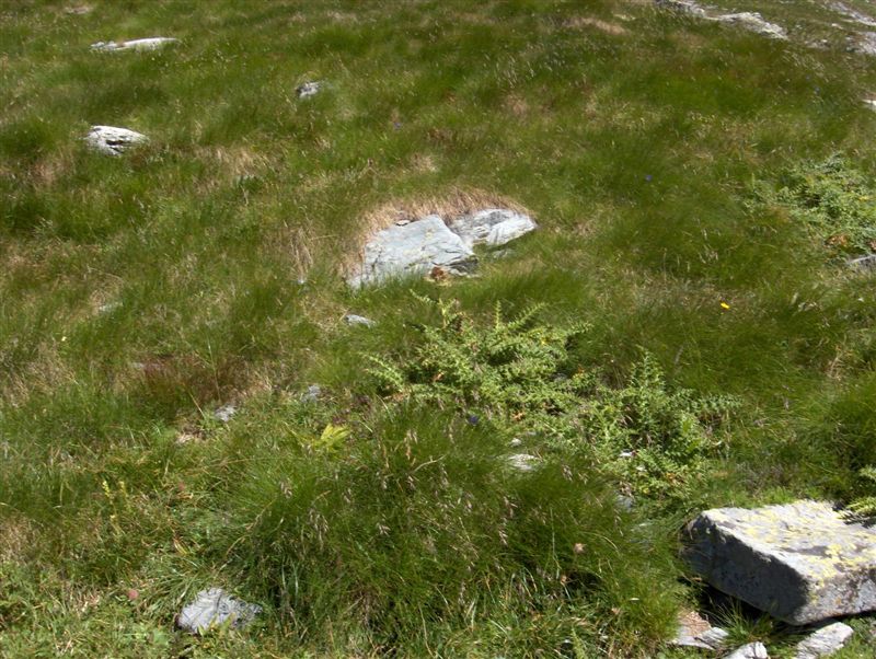 image78