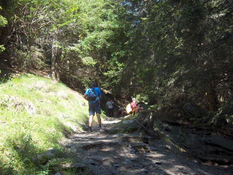 image80