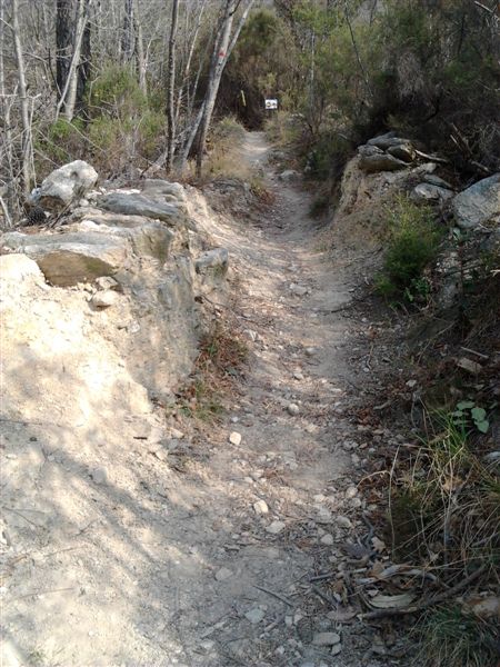 image19