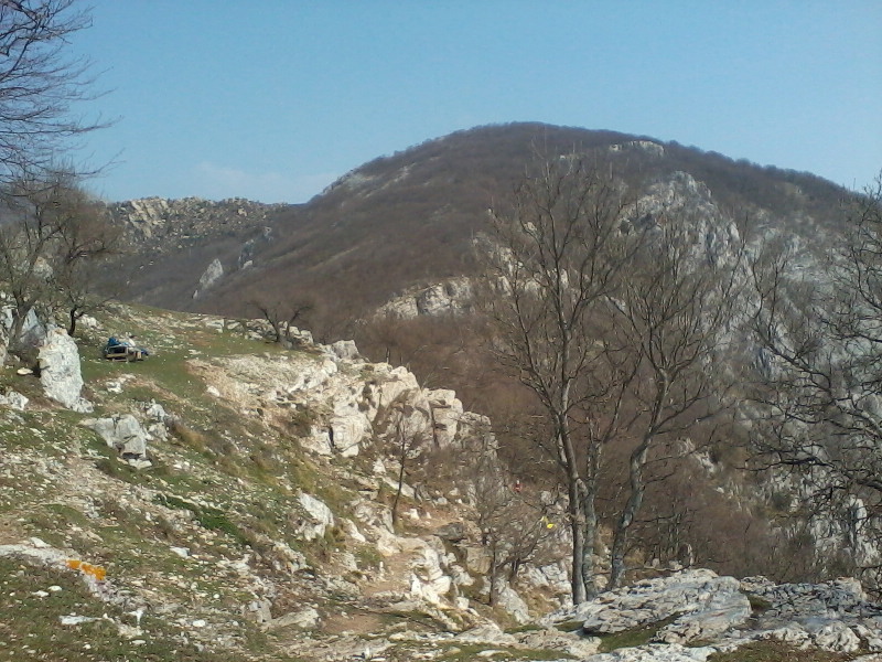 image35