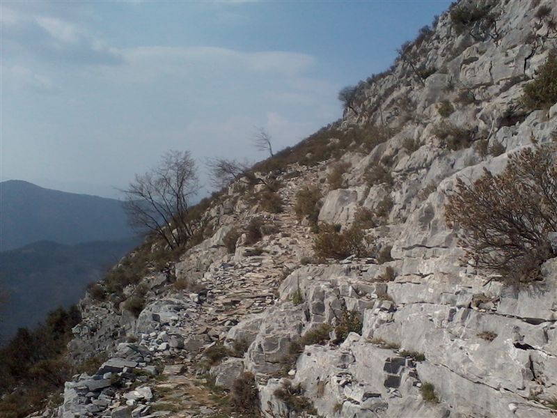 image36