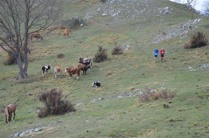 image55