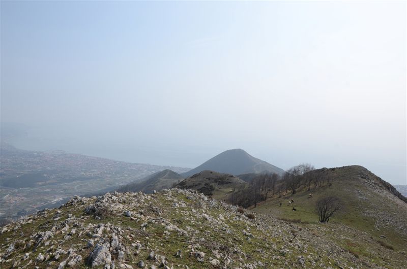 image68