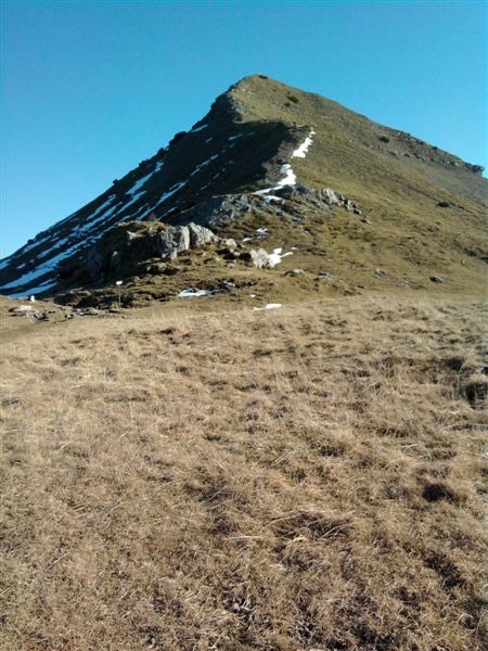 image12
