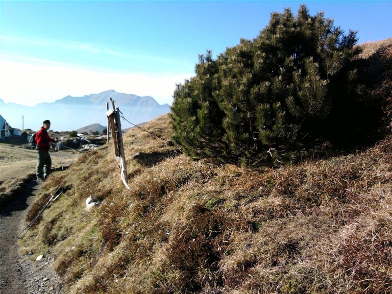 image13
