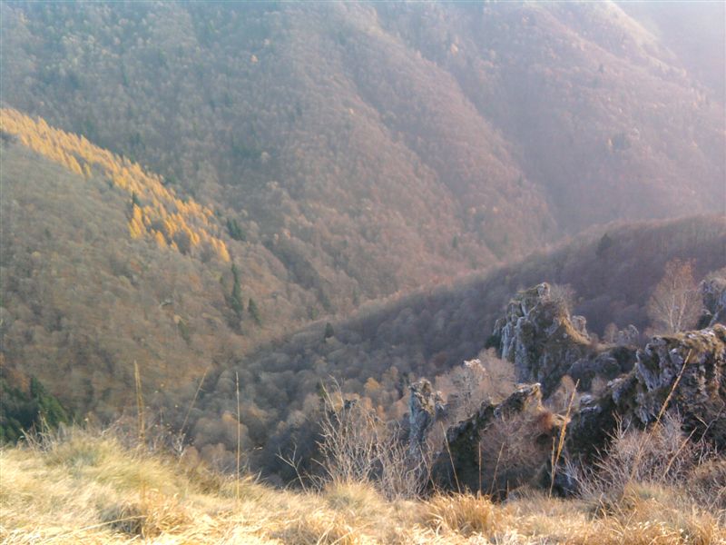 image21