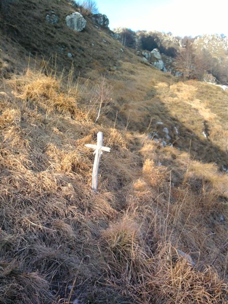image24