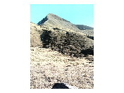 thumbnail1