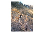 thumbnail25
