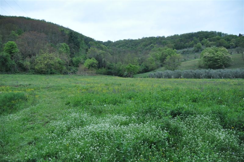 image10