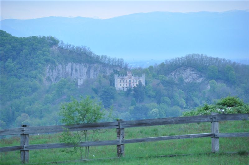 image33