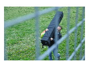 thumbnail11