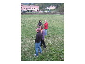 thumbnail21