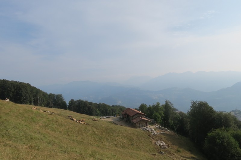 image11