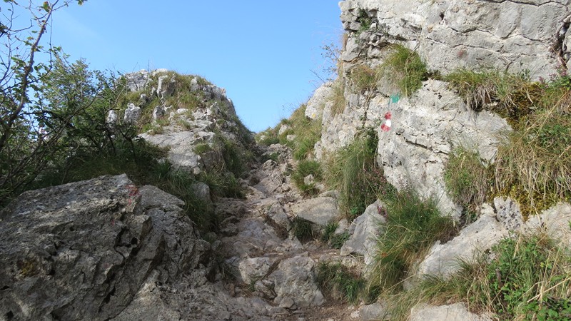 image22