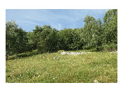 thumbnail14