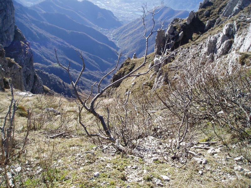 image10