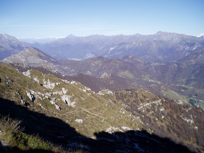 image8