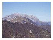thumbnail6