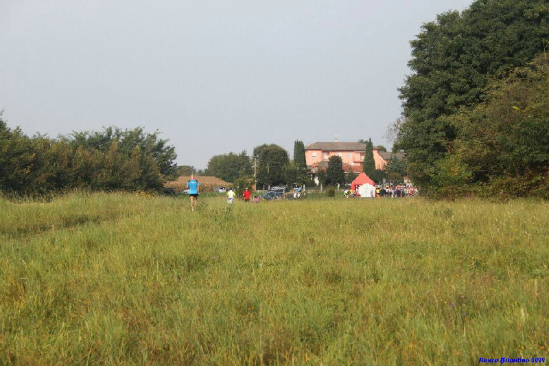 image8