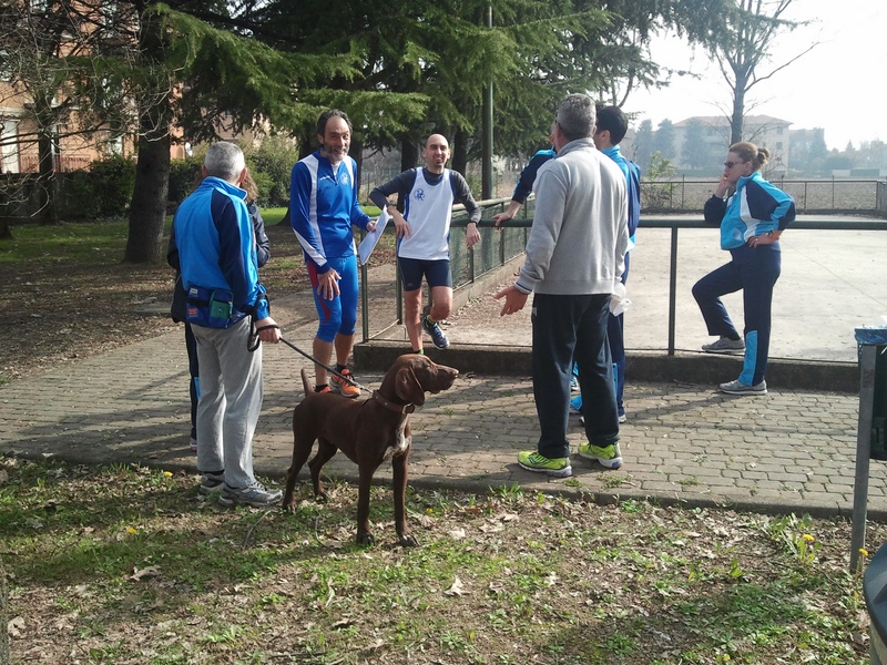 image7