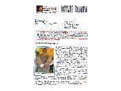 thumbnail6