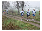 thumbnail26