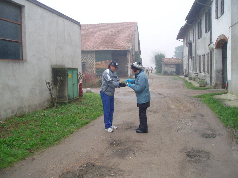 image11