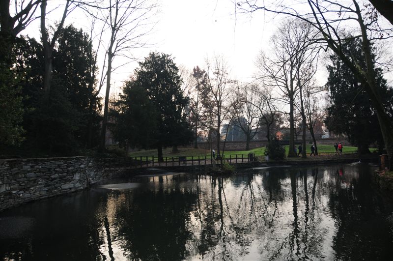 image7