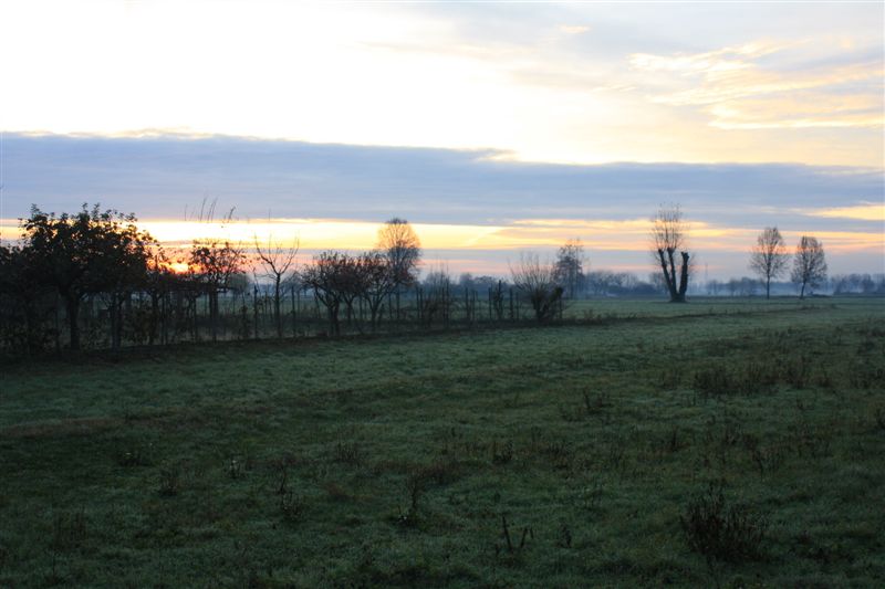 image81